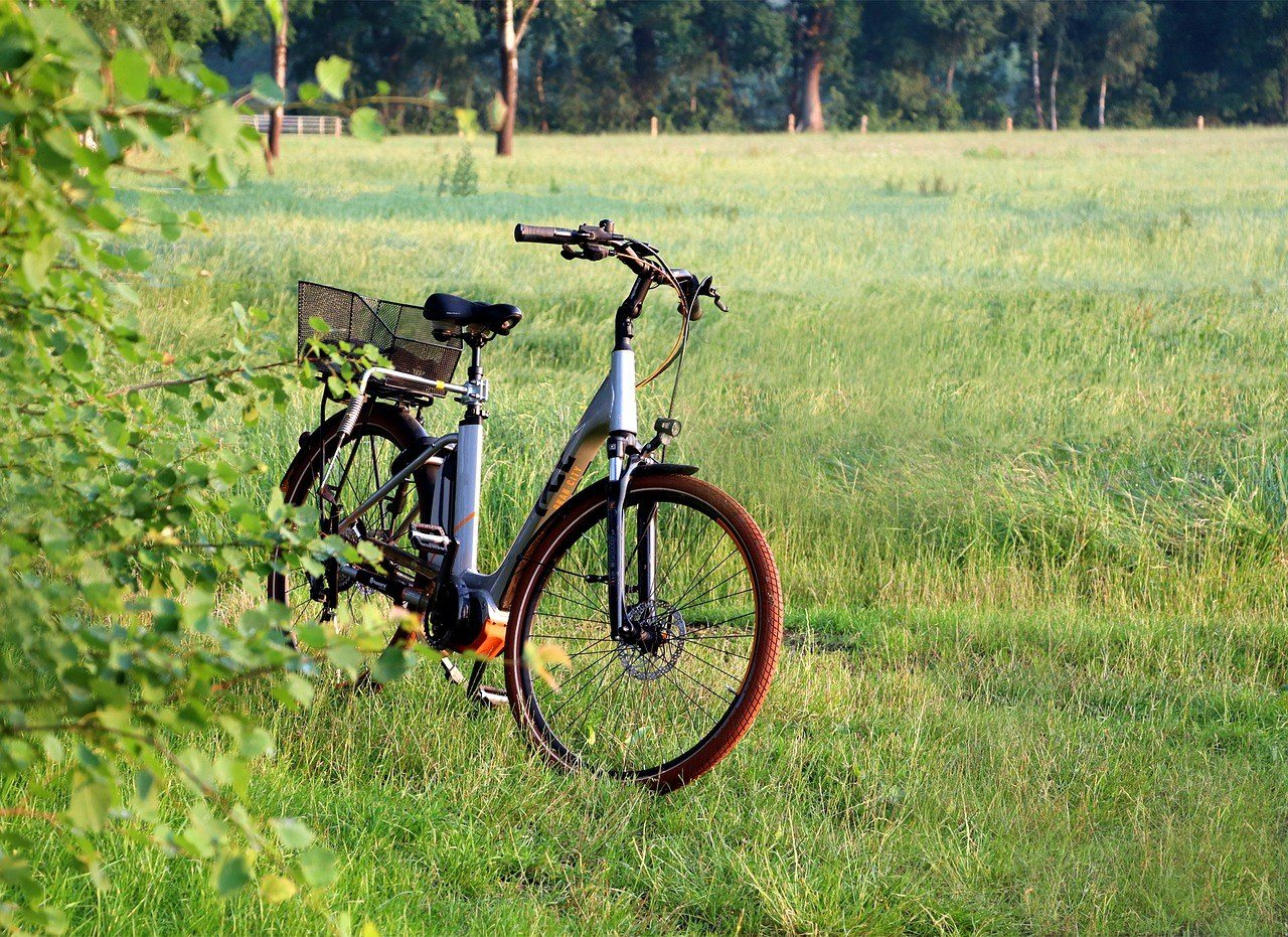 A step-through electric bicycle parked in a meadow